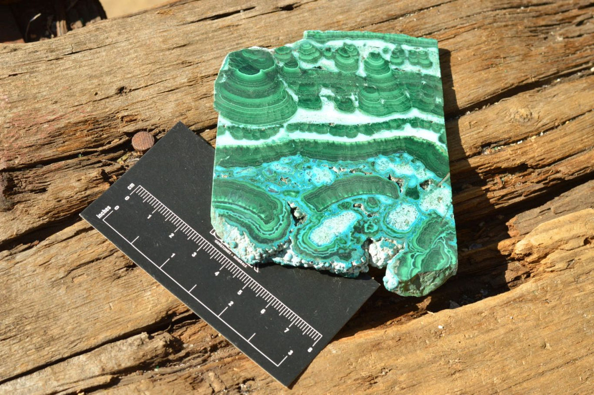 Polished Gorgeous Banded Malachite Slices With Chrysocolla Edging x 6 From Congo - TopRock