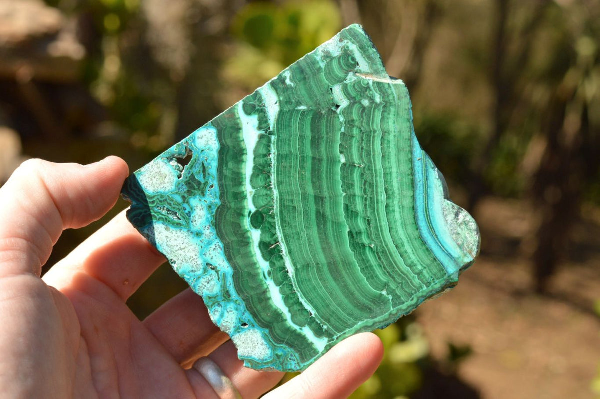Polished Gorgeous Banded Malachite Slices With Chrysocolla Edging x 6 From Congo - TopRock