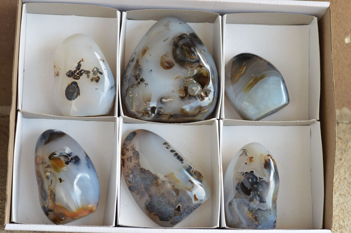 Polished Stunning Selected Dendritic Agate Standing Free Forms x 6 From Moralambo, Madagascar - TopRock