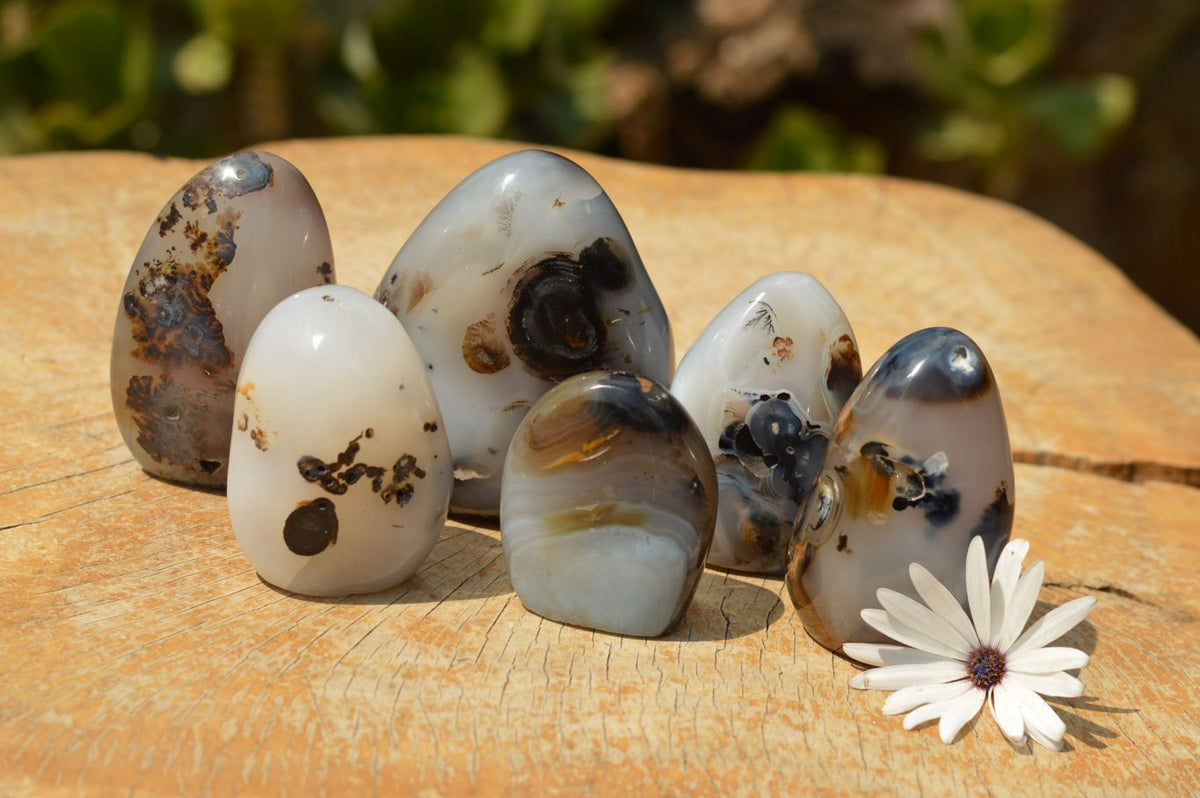 Polished Stunning Selected Dendritic Agate Standing Free Forms x 6 From Moralambo, Madagascar - TopRock