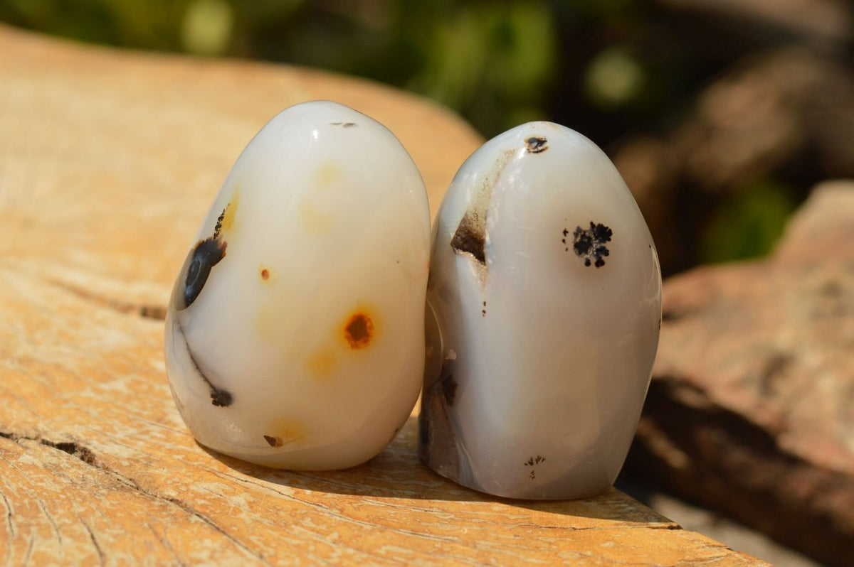 Polished Stunning Selected Dendritic Agate Standing Free Forms x 6 From Moralambo, Madagascar - TopRock