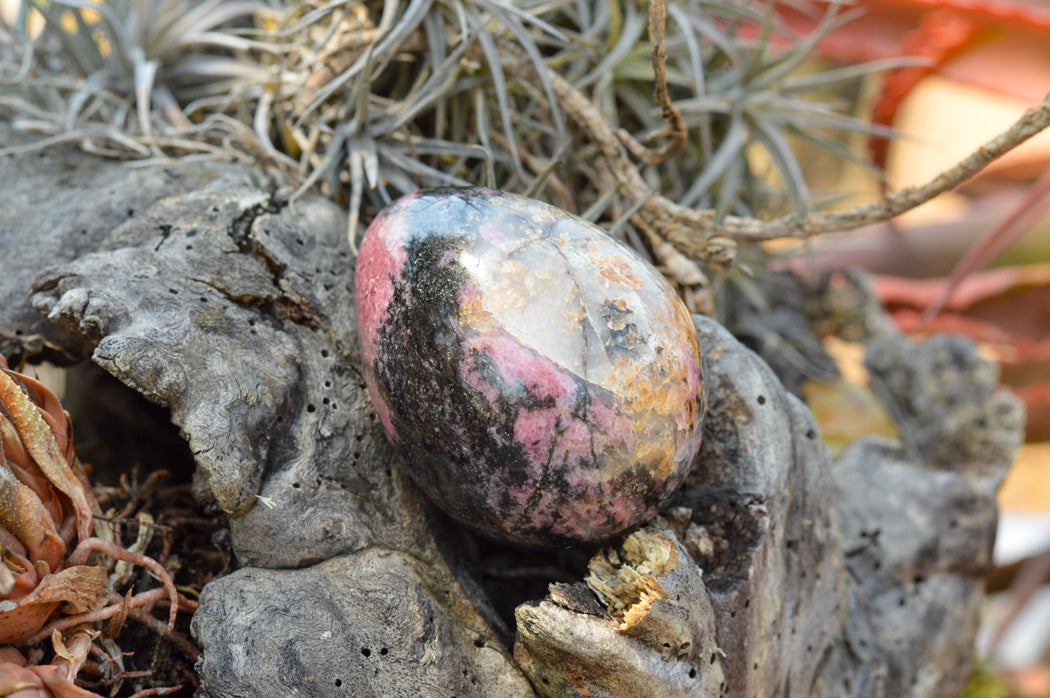 Polished Pink & Black Rhodonite Eggs x 4 From Ambindavato, Madagascar - TopRock