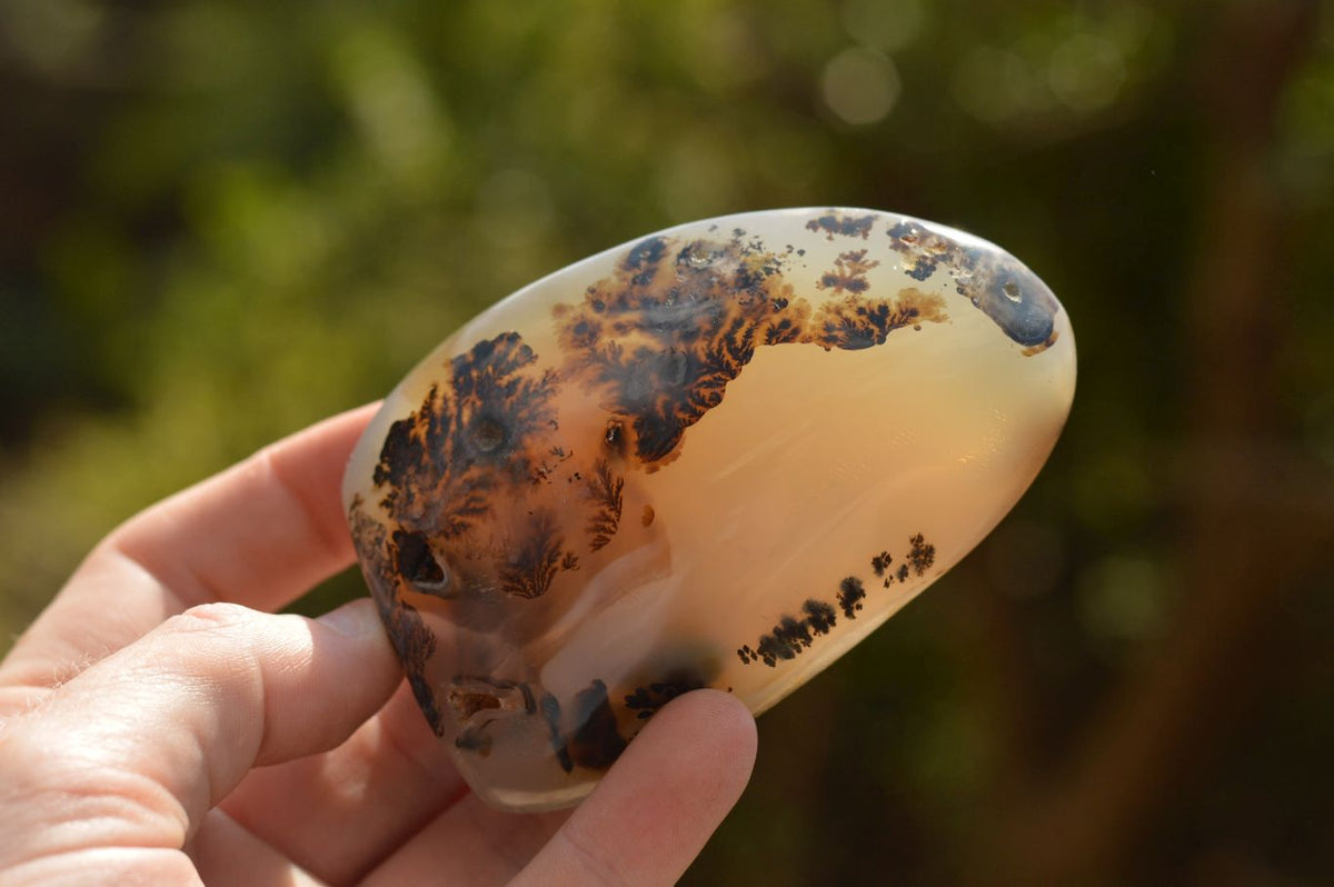 Polished Stunning Selected Dendritic Agate Standing Free Forms x 6 From Moralambo, Madagascar - TopRock