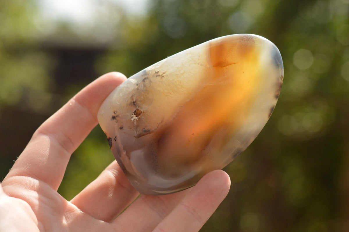 Polished Stunning Selected Dendritic Agate Standing Free Forms x 6 From Moralambo, Madagascar - TopRock