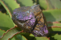 Natural Metallic Purpurite Cobbed Specimens x 3 From Erongo, Namibia - Toprock Gemstones and Minerals
