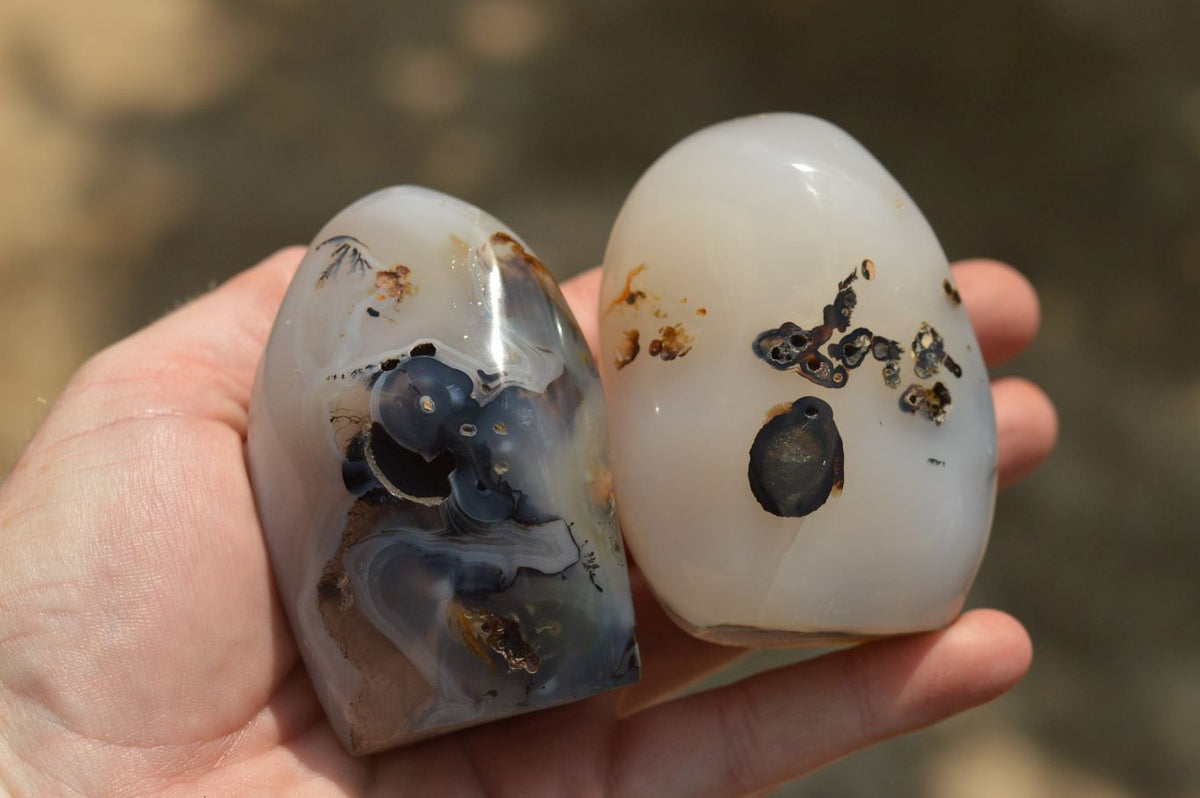 Polished Stunning Selected Dendritic Agate Standing Free Forms x 6 From Moralambo, Madagascar - TopRock