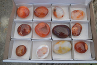 Polished Carnelian Agate Palm Stones  x 12 From Madagascar - Toprock Gemstones and Minerals