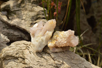 Natural Lovely Selection Of Spirit / Cactus Quartz Clusters  x 12 From Boekenhouthoek, South Africa - TopRock