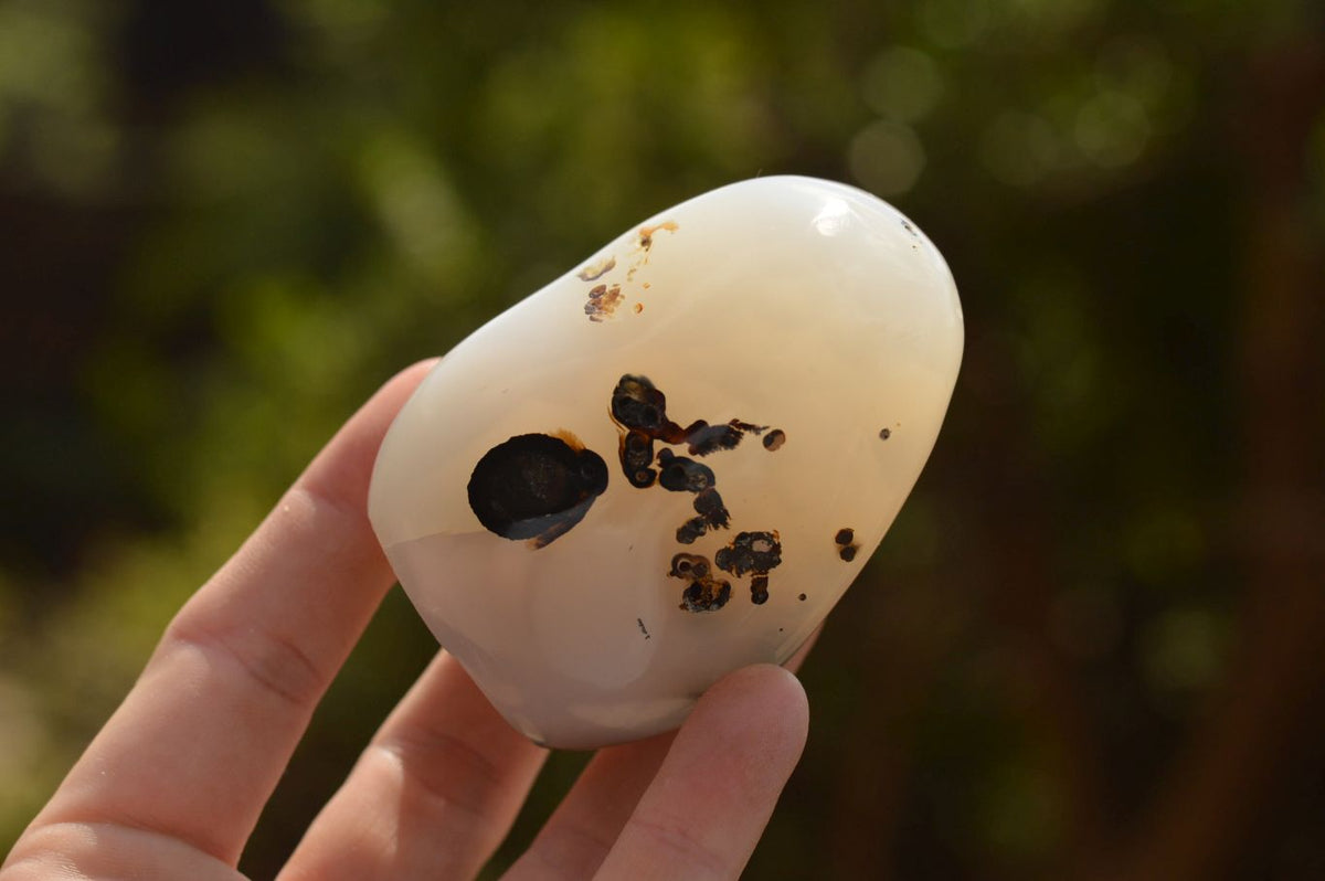 Polished Stunning Selected Dendritic Agate Standing Free Forms x 6 From Moralambo, Madagascar - TopRock