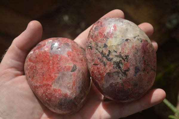 Polished Red Rhodonite Free Forms  x 6 From Zimbabwe - TopRock