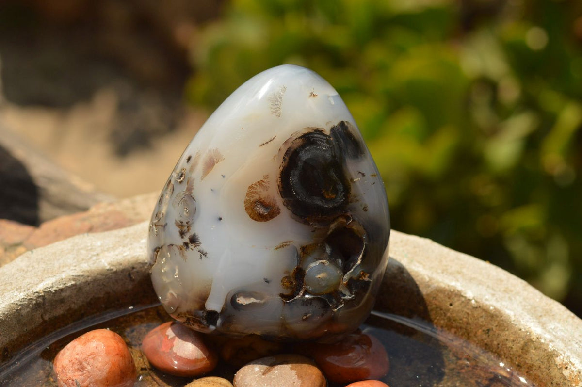Polished Stunning Selected Dendritic Agate Standing Free Forms x 6 From Moralambo, Madagascar - TopRock