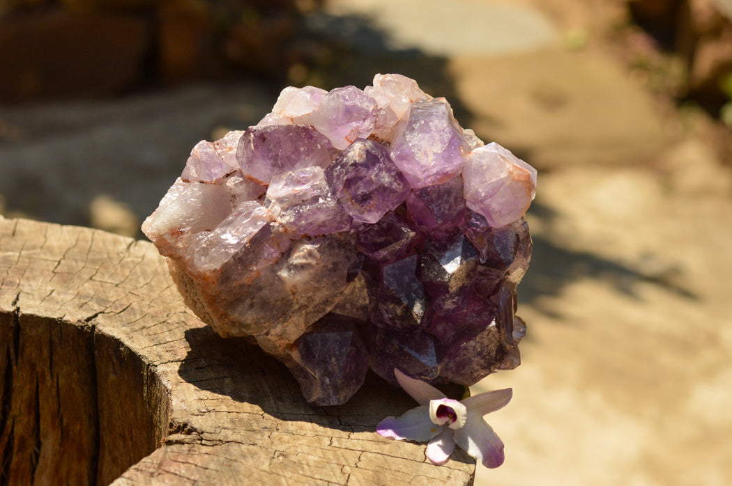 Natural Lavender / Jacaranda Amethyst Cluster x 1 From Zambia - TopRock