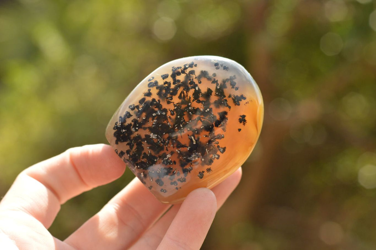 Polished Stunning Selected Dendritic Agate Standing Free Forms x 6 From Moralambo, Madagascar - TopRock