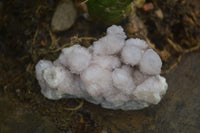 Natural Spirit Amethyst Quartz Specimens  x 12 From Boekenhouthoek, South Africa - Toprock Gemstones and Minerals