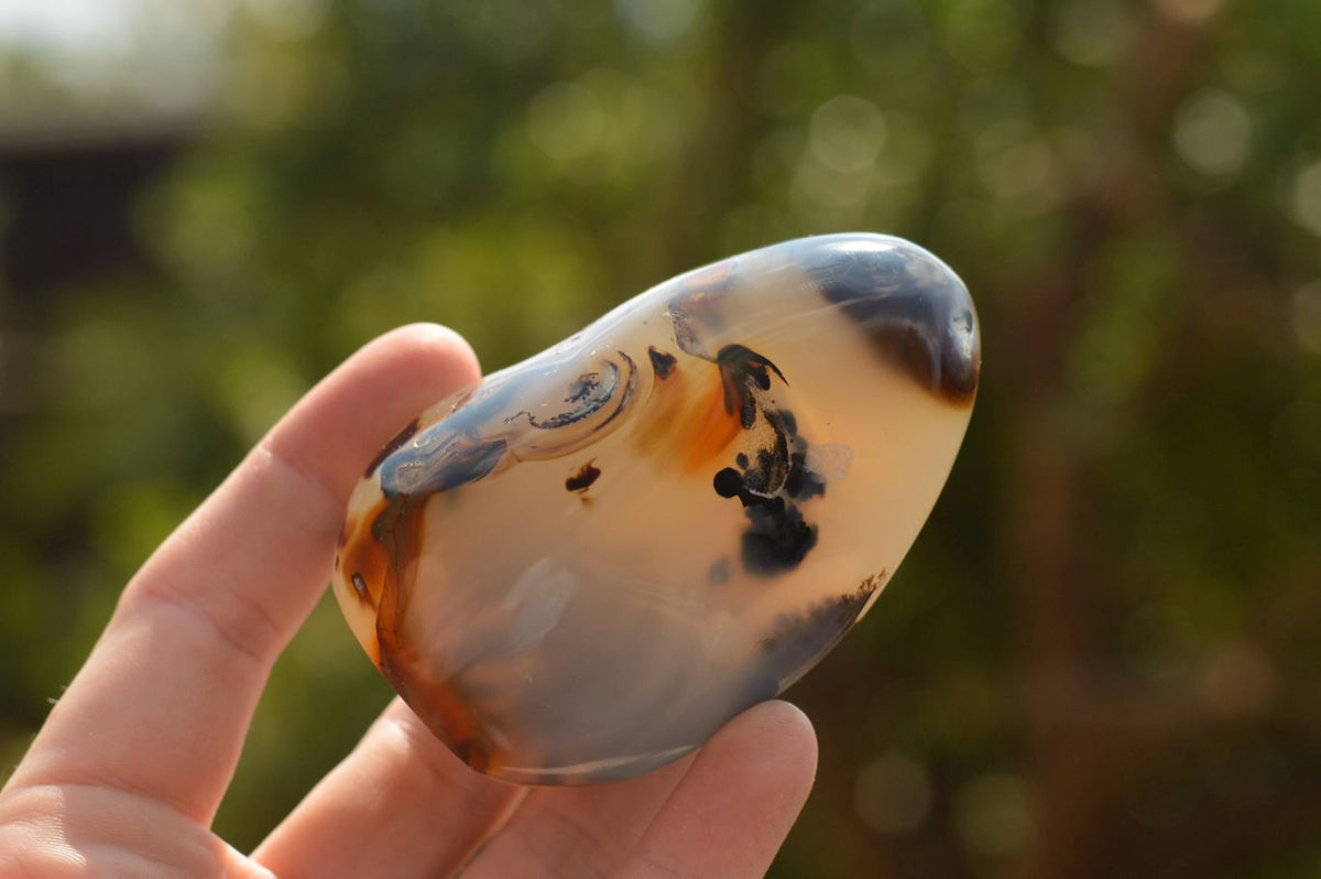 Polished Stunning Selected Dendritic Agate Standing Free Forms x 6 From Moralambo, Madagascar - TopRock