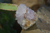 Natural Spirit Amethyst Quartz Specimens  x 12 From Boekenhouthoek, South Africa - Toprock Gemstones and Minerals