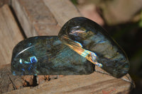 Polished Labradorite Standing Free Forms With Blue & Gold Flash  x 6 From Tulear, Madagascar - Toprock Gemstones and Minerals