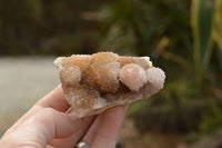 Natural Lovely Selection Of Spirit / Cactus Quartz Clusters  x 12 From Boekenhouthoek, South Africa - TopRock