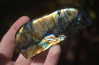 Polished Labradorite Standing Free Forms With Blue & Gold Flash  x 6 From Tulear, Madagascar - Toprock Gemstones and Minerals
