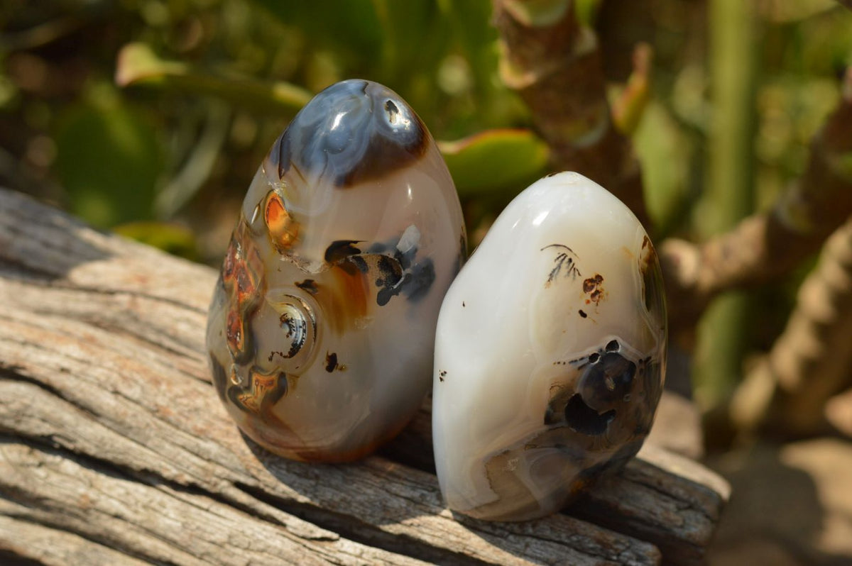 Polished Stunning Selected Dendritic Agate Standing Free Forms x 6 From Moralambo, Madagascar - TopRock