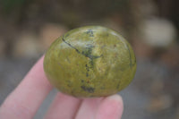 Polished Large Green Opal Palm Stones  x 12 From Madagascar - Toprock Gemstones and Minerals