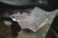 Natural Mixed Selection Of Rough Minerals  x 2.5 Kg Lot From Southern Africa - Toprock Gemstones and Minerals
