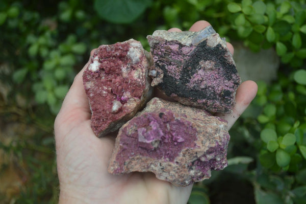 Natural Pink Salrose Cobaltion Dolomite Specimens  x 4 From Kakanda, Congo - Toprock Gemstones and Minerals 