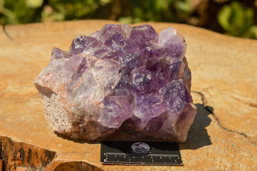 Natural Lavender / Jacaranda Amethyst Cluster x 1 From Zambia - TopRock