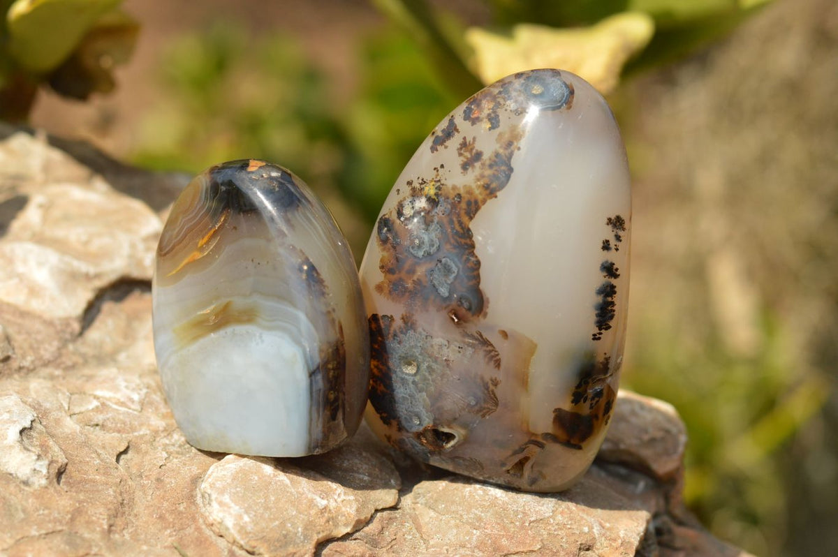 Polished Stunning Selected Dendritic Agate Standing Free Forms x 6 From Moralambo, Madagascar - TopRock