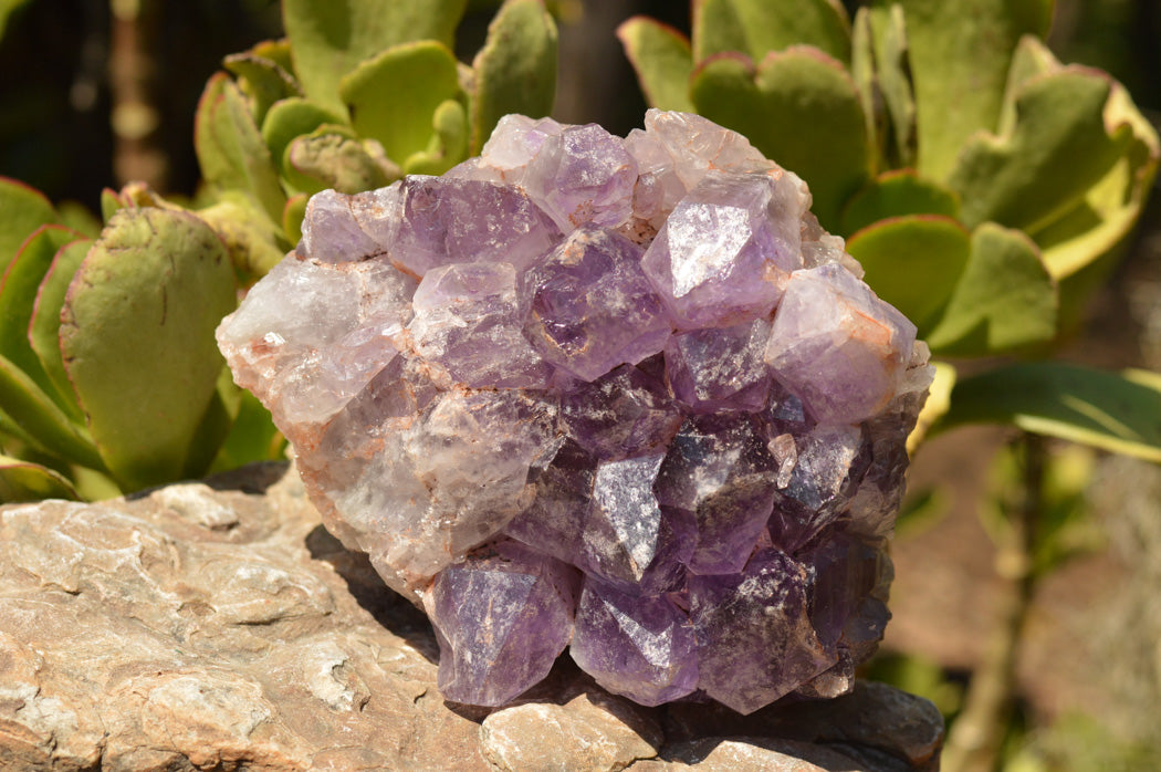 Natural Lavender / Jacaranda Amethyst Cluster x 1 From Zambia - TopRock