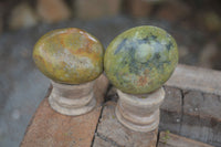Polished Large Green Opal Palm Stones  x 12 From Madagascar - Toprock Gemstones and Minerals