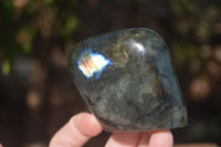 Polished Labradorite Standing Free Forms With Blue & Gold Flash  x 6 From Tulear, Madagascar - Toprock Gemstones and Minerals