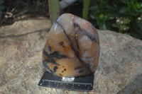Polished Carnelian Agate Standing Free Forms  x 2 From Madagascar - Toprock Gemstones and Minerals