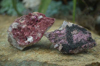 Natural Pink Salrose Cobaltion Dolomite Specimens  x 4 From Kakanda, Congo - Toprock Gemstones and Minerals