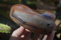 Polished Carnelian Agate Standing Free Forms  x 2 From Madagascar - Toprock Gemstones and Minerals