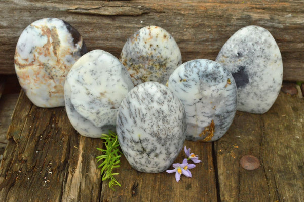 Polished Dendritic White Opal Standing Free Forms x 6 From Moralambo, Madagascar - TopRock