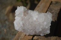 Natural White Cactus Flower Spirit Quartz Specimens  x 2 From Boekenhouthoek, South Africa - Toprock Gemstones and Minerals