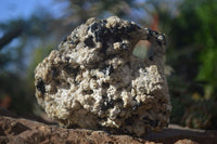 Natural Schorl Black Tourmaline With Vermiculite Specimens x 3 From Erongo, Namibia - Toprock Gemstones and Minerals