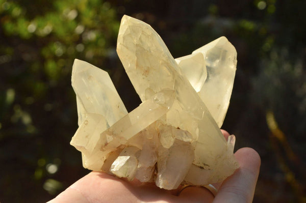 Natural Mixed Selection Of Quartz Specimens  x 6 From Southern Africa - TopRock