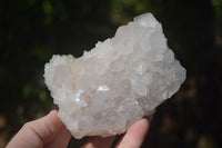 Natural White Cactus Flower Spirit Quartz Specimens  x 2 From Boekenhouthoek, South Africa - Toprock Gemstones and Minerals