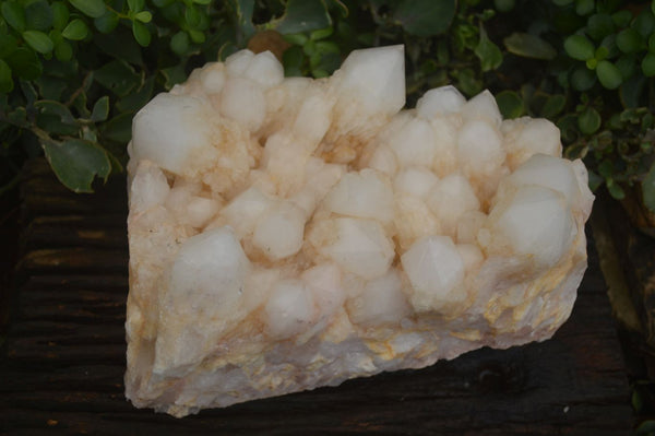 Natural Giant White Candle Quartz Crystal Cluster  x 1 From Madagascar - Toprock Gemstones and Minerals 