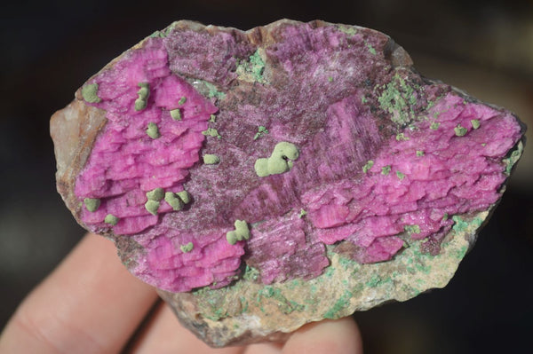 Natural Pink Salrose Cobaltion Dolomite Specimens  x 6 From Kakanda, Congo - Toprock Gemstones and Minerals 