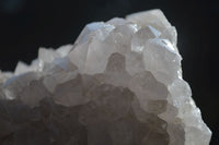 Natural White Cactus Flower Spirit Quartz Specimens  x 2 From Boekenhouthoek, South Africa - Toprock Gemstones and Minerals