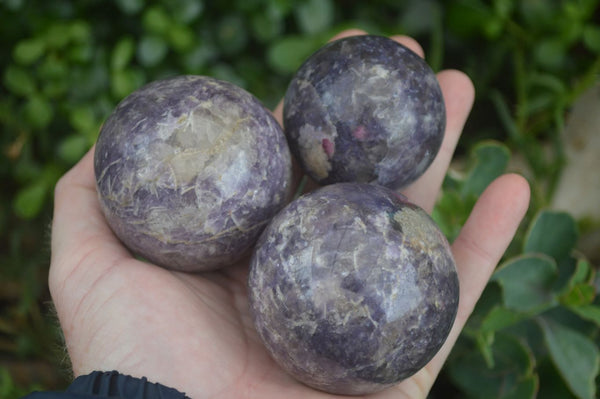 Polished Purple Rubellite Spheres (Some With Rubellite) x 6 From Madagascar - TopRock