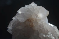 Natural White Cactus Flower Spirit Quartz Specimens  x 2 From Boekenhouthoek, South Africa - Toprock Gemstones and Minerals