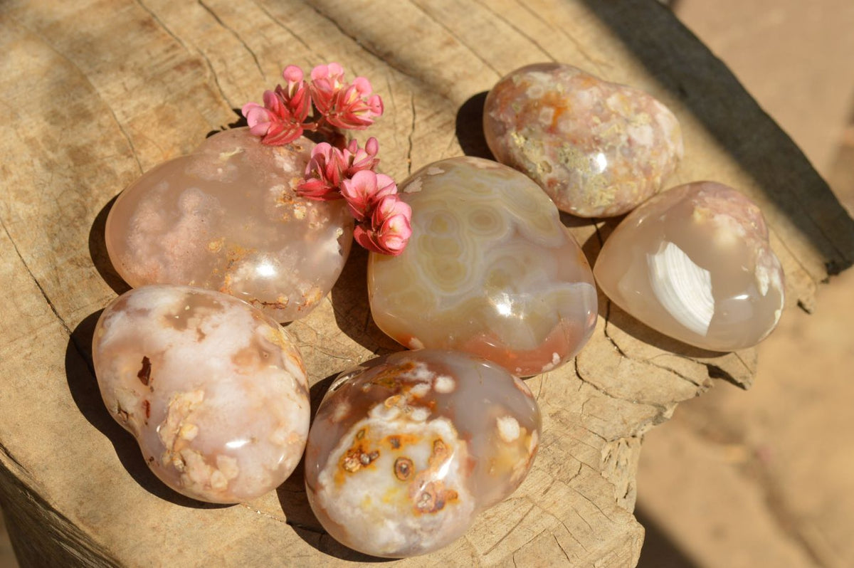 Polished Beautiful Coral Flower Agate Hearts x 6 From Antsahalova, Madagascar - TopRock