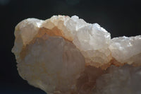 Natural White Cactus Flower Spirit Quartz Specimens  x 2 From Boekenhouthoek, South Africa - Toprock Gemstones and Minerals