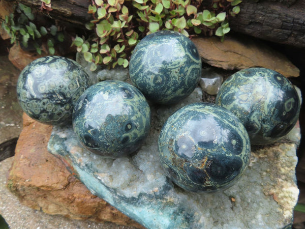 Polished Stromatolite Kombaba Jasper Spheres x 5 From Madagascar - TopRock