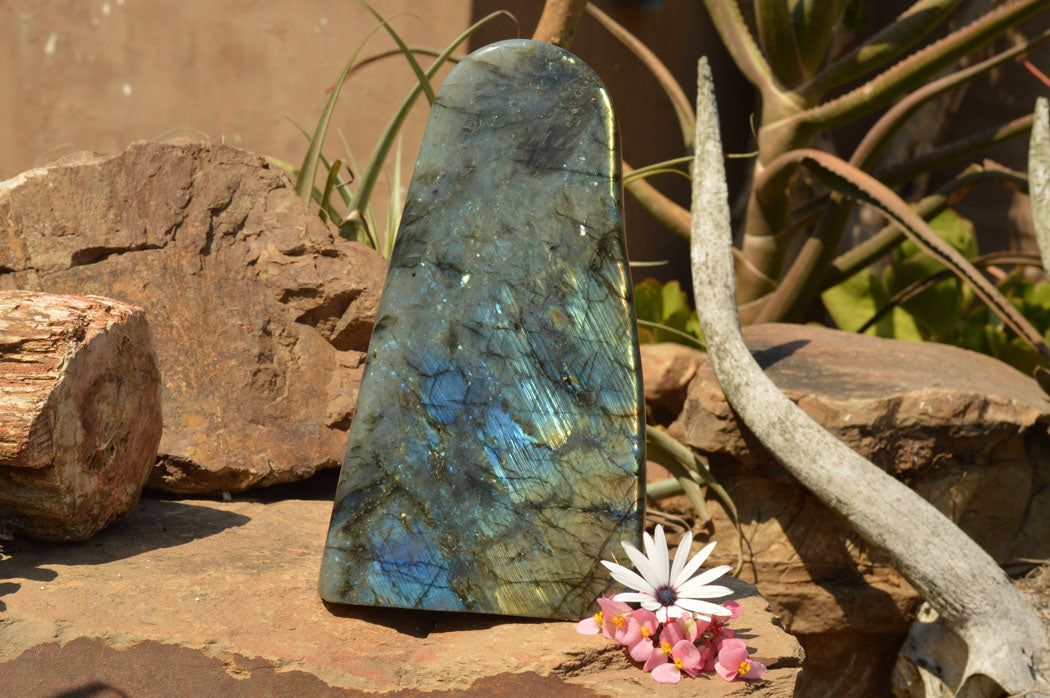 Polished Extra Large Labradorite Standing Free Form x 1 From Tulear, Madagascar - TopRock