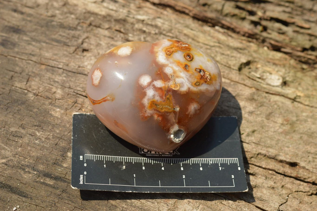 Polished Beautiful Coral Flower Agate Hearts x 6 From Antsahalova, Madagascar - TopRock